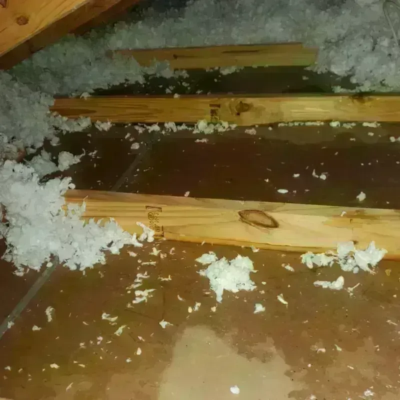 Attic Water Damage in Glennville, GA